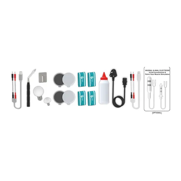 HMS Digistim 202 - Computerised Dual Stimulator Combo Therapy HMS Digistim 202 - Computerised Dual Stimulator Combo Therapy